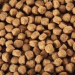 Zawartość opakowania