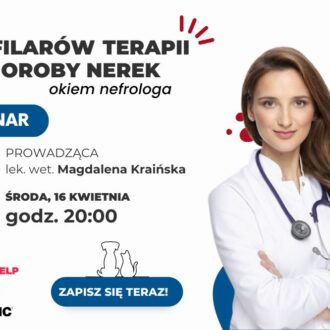 Zapraszamy na bezpłatny webinar „5 filarów terapii choroby nerek – okiem nefrologa”
