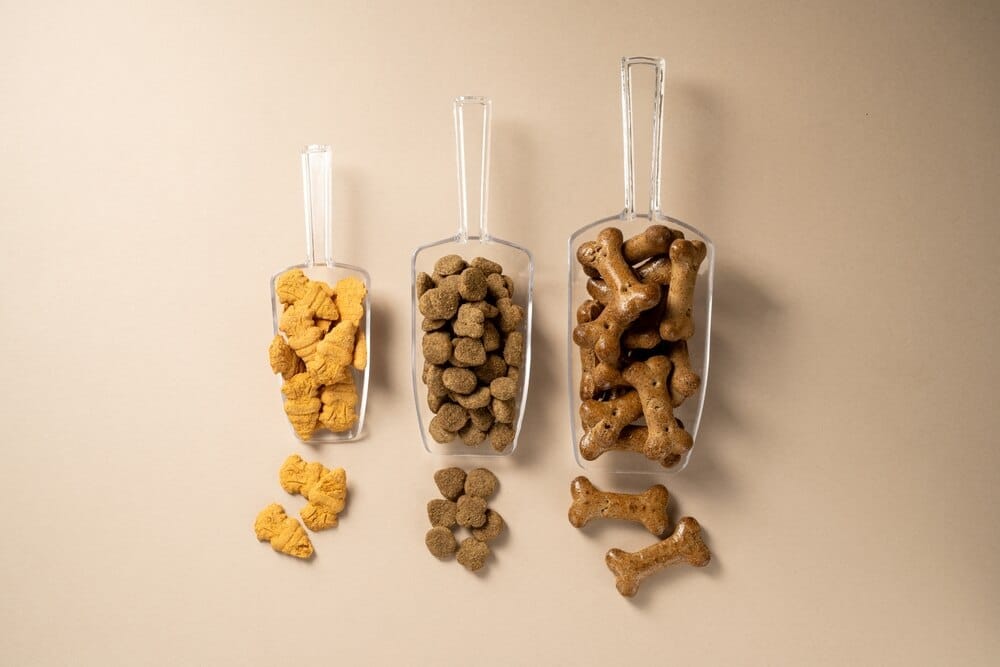 rodzaje suchych karm dla psa