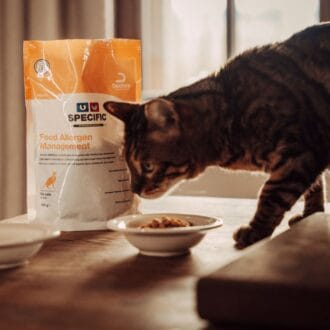 Zamów wcześniej – przerwa w wysyłkach w dniach 10-11 lipca!